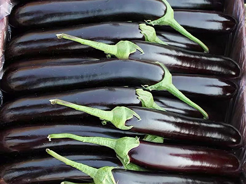茄子