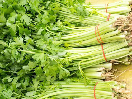 芹菜
